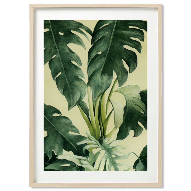 Poster monstera deliciosa - décoration murale