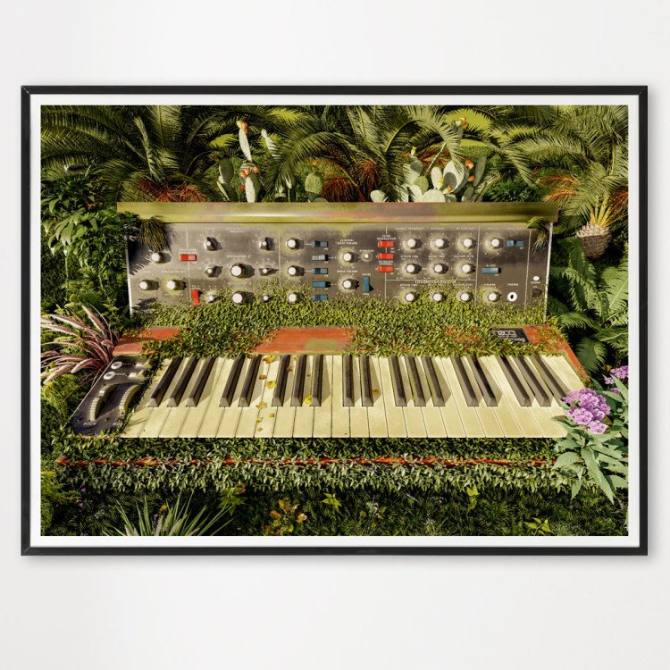 Poster Minimoog in the jungle - décoration murale